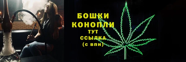 первитин Гусев