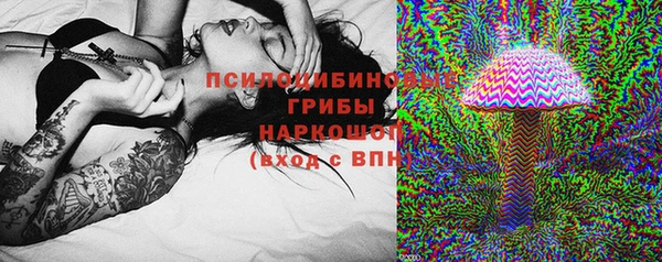 первитин Гусев