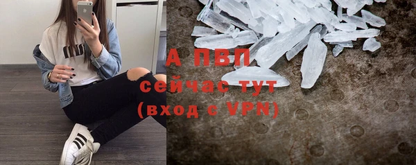гашик Горно-Алтайск