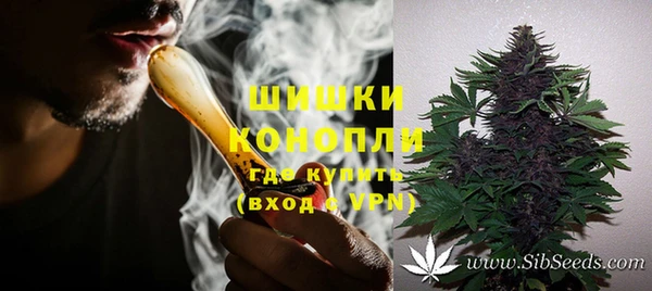 ПСИЛОЦИБИНОВЫЕ ГРИБЫ Гусиноозёрск
