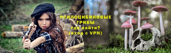 гашик Горно-Алтайск