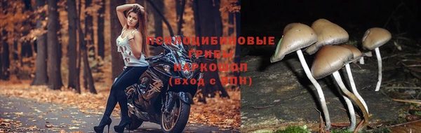 каннабис Горняк