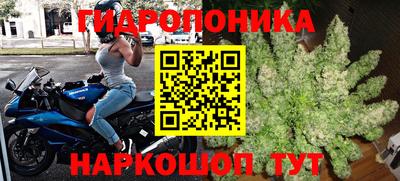 ALPHA-PVP Камышлов